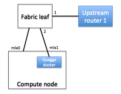 phys-connectivity