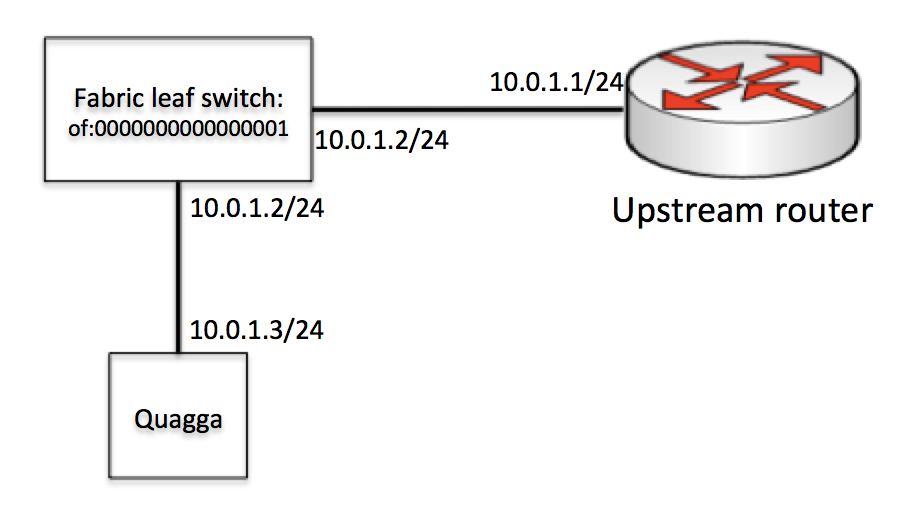 phys-connectivity